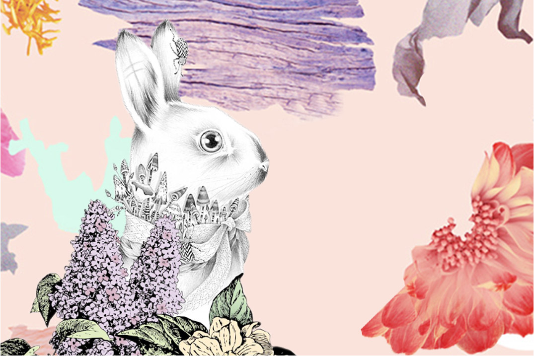 WANDIAN Hover BG